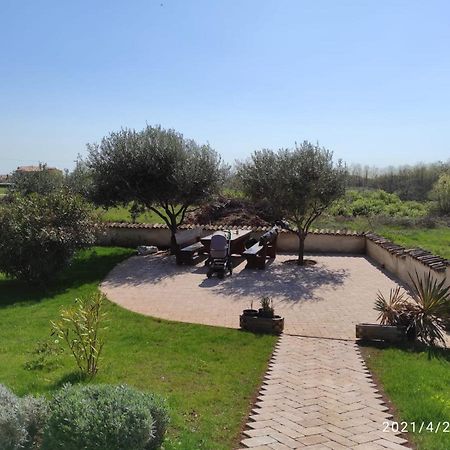 Villa Parenzo Porec Exterior photo